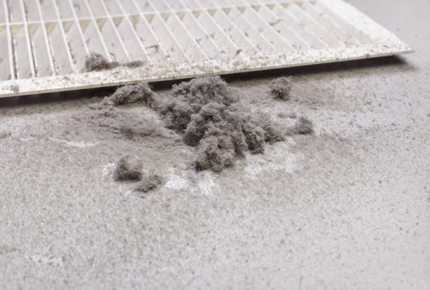 Best Air Duct Cleaning Cost  in Ida Grove, IA